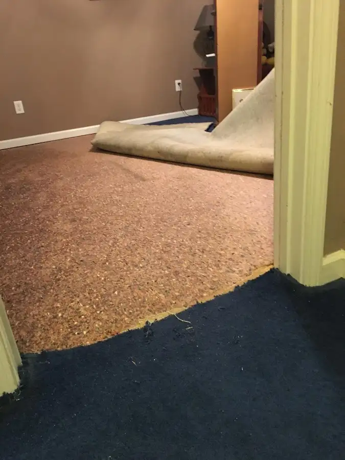 Carpet pad removal revealing water damage during Water Mitigation Services in Yeadon