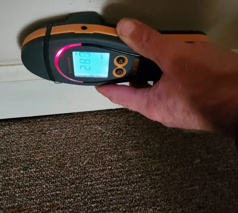 Moisture detection at baseboard during Mold Inspection & Testing in Yeadon